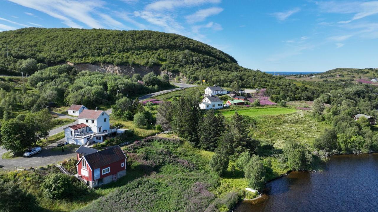 Wildlife Panorama Lofoten Bostad Exterior foto